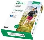 inapa Recycling-Papier, Druckerpapier Recyconomic Trendwhite: 80 g/m&sup2;, A4, 500