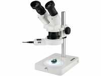 ESCHENBACH OPTIK Stereo Mikroskop mit Stand; 10x-20x Auflicht-/ Stereomikroskop;
