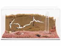 AntHouse - Natürliche Ameisenfarm aus Sand - Acryl Starter Set 20x10x10 cm...