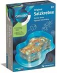 Clementoni Galileo Lab Original Salzkrebse - Z&uuml;chten & Beobachten von Urzeitkrebsen