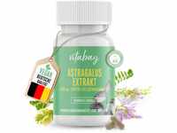 Vitabay Astragalus Extrakt | 90 vegane Kapseln | Hochdosiert mit 1600 mg...