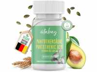 Vitabay Vitamin B5 Pantothensäure 500 mg - 100 VEGANE Vitamin B5 Kapseln -...