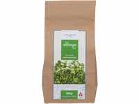 AMAZONAS bio Moringa Tee für geballte Lebensenergie, 100 g Tee