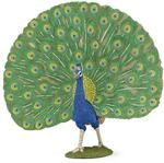 Papo - Realistische Pfau-Figur Spielzeug f&uuml;r Kinder - 3 Jahre + - Kollektion Leben