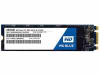 WD Blue SSD SATA M2, 250GB interne Festplatte. Kompatibel mit vielen Laptops.