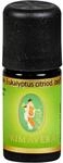 PRIMAVERA Eukalyptus cidroid. Tropfen f&uuml;r die Aromapflege, 5 ml &auml;therisches...