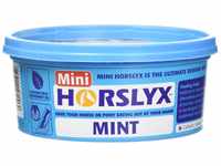 Mini Horslyx Leckmasse, Pferde Nahrungsergänzung, Mint 650g