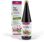 GSE Eisen Vital Complex, Direktsaft mit Eisen, rote Traube, Sauerkirsche, schwarze