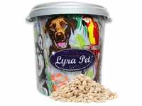 Lyra Pet® | 10 kg Erdnusskerne Splits + 30 L Tonne | Wildvogelfutter...