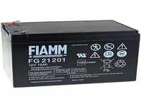 FIAMM Bleiakku FG21202 VDs, 12V, Lead-Acid