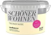 2,5 Liter Sch&ouml;ner Wohnen Trendfarbe matt CASHMERE