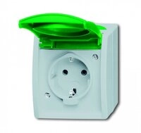 Busch-Jaeger 20 EWN-13-53 SCHUKO&reg; Steckdose mit gr&uuml;nem Klappdeckel (Thermoplast)