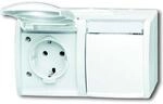 Busch-Jaeger 20/2 EWN-54 SCHUKO&reg; Steckdose 2-fach (Thermoplast) Alpinwei&szlig;...