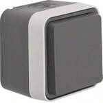 Berker 47403515 AP-Steckdose SCHUKO Grau, Lichtgrau 1x AP-Steckdose