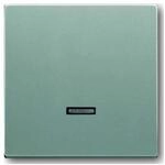 Busch-Jaeger 6543-83-101 Bedienelement