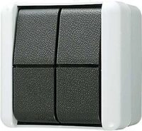 Jung 839W Doppel-Taster 2 Wechsler
