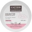 CATTIER Paris Sheabutter 100% Bio - ohne Duft - zertifizierte Naturkosmetik - 100 g