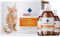 RECOACTIV Niere Katze - sehr schmackhaft, appetitanregend, Tonicum 3x90 ml 