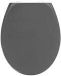 WENKO Toilettendeckel mit Absenkautomatik, oval, belastbar bis 175 kg, abnehmbarer WC