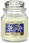 Yankee Candle Duftkerze im Glas (Mittelgro&szlig;) | Midnight Jasmine | Brenndauer bis zu