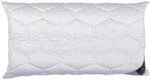 Billerbeck 2461020001 Kissen Novoflex NK, passende f&uuml;r Bez&uuml;ge, circa 40 x 80 cm