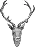 Hirschgeweih Hirschkopf Geweih 10-Ender in Silber, Metall-Optik 30 x 40 cm,...