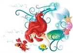 Arielle Wandtattoo von Disney f&uuml;r das Kinderzimmer - Gr&ouml;&szlig;e 50x70 cm - Wandsticker,