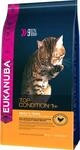Eukanuba Katzenfutter trocken Huhn - Premium Trockenfutter mit hohem Fleischanteil