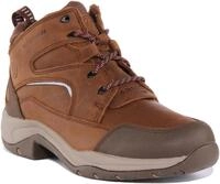 ARIAT Damen Reitschuhe Telluride II H2O wasserdicht, Palm Brown, 3 (36) (EU 36)