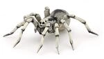 Papo Tarantula WILD Animal Kingdom Tiere 50190 Tarantel, Spiel, Mehrfarbig, 2.2cm