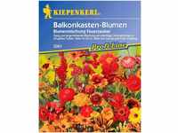 Kiepenkerl Blumen-Mix 'Feuerzauber', 1 Tüte Samen