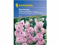 Sperli Blumensamen Stockrose Chaters Pink, grün