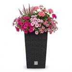Prosperplast Blumentopf in Rattan-Optik Pflanzk&uuml;bel mit Einsatz | 32,5 x 32,5 x 61