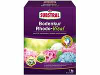 Substral Bodenkur Rhodo-Vital für Rhododendren, Azaleen, Hortensien, Himbeeren,