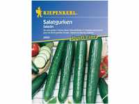 Kiepenkerl Salatgurken 'Saladin',1 Portion