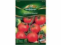 Quedlinburger Saatgut - Stab-Tomaten Harzglut Samen