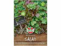 Sperli-Samen Salat-Mischung Veronas Mini - Mini (Baby Leaf)