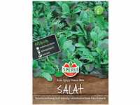Sperli Premium Asia Salat | Asia Spicy Green Mix | 4 Sorten | Asia Salat Samen 