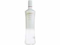 Smirnoff White Premium Wodka (1 x 1 l)