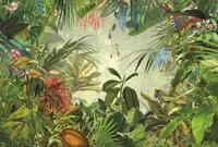 Komar Vlies Fototapete | INTO THE WILD | Gr&ouml;&szlig;e: 368 x 248 cm (Breite x H&ouml;he) 