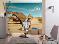 Komar Wars R2D2 & C3PO Wallpaper 8-484 Bunt 368x0.2x254 cm