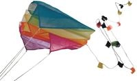 G&Uuml;NTHER FLUGSPIELE - 1172 - Einleiner-Drachen Mini Parafoil, ca. 60 x 51 cm,