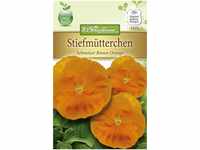 Chrestensen Stiefmütterchen 'Schweizer Riesen Orange'