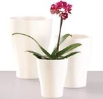Scheurich Orchideentopf Panna (10 cm)