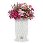 Prosperplast Rato Square Blumentopf 26,5 x 26,5 x 50 cm Wei&szlig; | Moderner Pflanzk&uuml;bel
