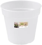 elho Green Basics Orchidee 15cm - Transparent/Transparent