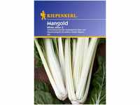 Sperli Gemüsesamen Mangold, weiß/silber/grün