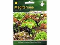 Mediterrane Salatvariation Saatband Salat 42035