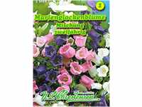 N.L. Chrestensen 530591 Marienglockenblume Mischung (Glockenblumensamen)