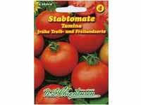 Tomate Tamina Stabtomate frühreifende Sorte, mittelgroße Früchte ,...